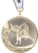 Martial Arts Economy Medals