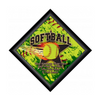 Diamond Plaque- Softball [PFCDIA-11-SB]