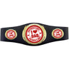 Fathers Day 40 inch Youth Triple Art Champion Award Belt - I Heart Dad [C3SAB3-FDY]