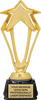 3D Rising Star Trophy - 8.75