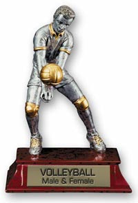 Volleyball Signature Series Resin Trophy - Male [SSR6-VBM]
