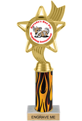 Custom Insert Trophy w/ Column - 10.5 inch [TXi10-J27]