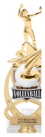 Volleyball Meridian Sport Riser Trophy [TMMSR14-VB] – Trophy Depot