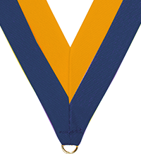 7/8 x 30 in. Blue & Gold Neck Ribbon [NKRB-3009]