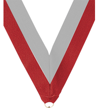 7/8 x 30 in. Red & Grey Neck Ribbon [NKRB-1016]