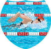 Swimming Female Shield Insert [SH-4283]