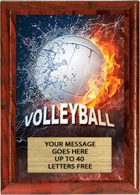 Full Color Plaques [PFCSTK5-VB]