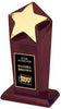 Rosewood Stained Desktop Award with Gold Metal Accents [STRS9]