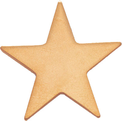 Gold Finish Flat Star Pin [PCM-STR-298G]