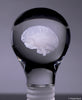 Brain Power Crystal Light Bulb Award [CM46BRN-8]