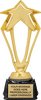 3D Rising Star Trophy - 9.75