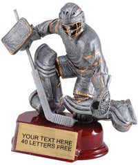 Hockey Silver Resin on Piano Finish Base [SCR6S-HKG]