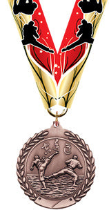 Martial Arts Medal- Bronze [M201-MA-B]