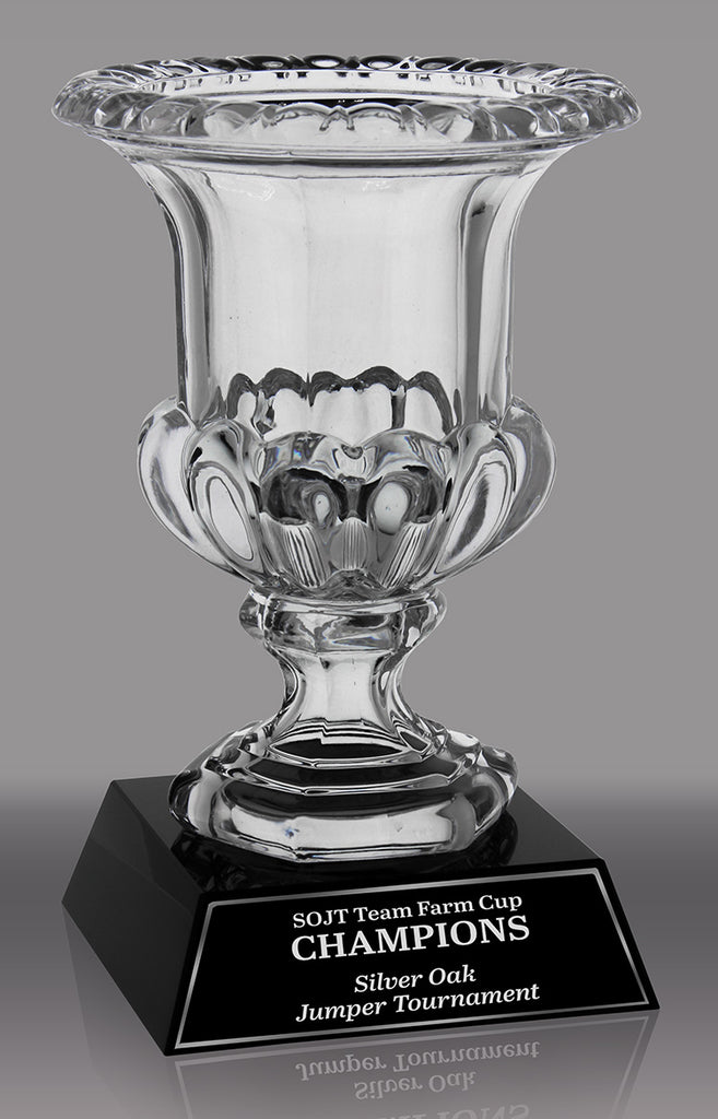 Crystal Narrow Mouth Vase- 10 inch [CMV2A3]