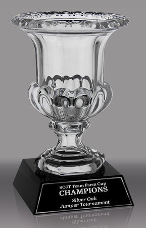 Crystal Narrow Mouth Vase- 10 inch [CMV2A3]