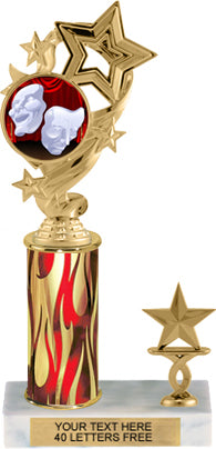4 Star Color Insert Trophy with 1 Trim [T1T12i-C49]