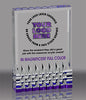 Custom Reflective Base Acrylic Award- Purple 3.5x5 inch [ACRS-3P-FC]
