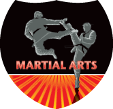 Martial Arts Shield Insert [SH-3719]