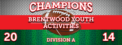 Football 3 x 8 Vinyl Banner- Field [VB-FB-FLD-38]