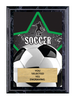 Soccer Full Color Star Plaque [PEDG5-SC]