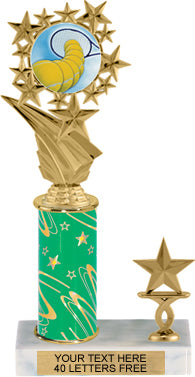 Star Frame Color Insert Trophy with 1 Trim [T1T12i-C96]