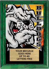 Full Color Plaques [PFCSTK5-MSCT]