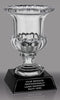 Crystal Narrow Mouth Vase- 8 inch [CMV2B3]