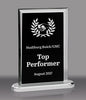 Rectangular Glass Award with Black Silk Screened Center [GT2935-8]