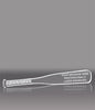 Acrylic Baseball Bat Award - 10 inch [ABAT-BS-10-Q]