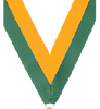 7/8 x 30 in. Green & Gold Neck Ribbon [NKRB-1045]