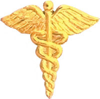 Gold Plated Pin- Cadeceus [PCDS-16]