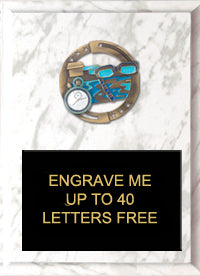 7"x9" Swimming Dimensional Color Plaque [PEM7-SW]