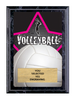 Volleyball Female Full Color Star Plaque [PEDG5-VBF]