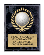 Insert Plaque - 6x8 inch [P322] – Trophy Depot