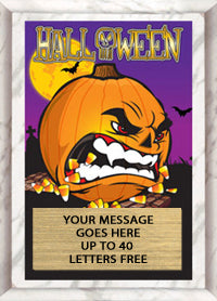 Full Color Plaques [PFCSTK5-HLWN]