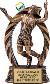 Volleyball Male Star Flame Resin Trophies