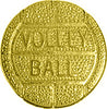 Volleyball Chenille Pin [PCH-06]