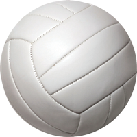 Volleyball Insert [TD-1041]