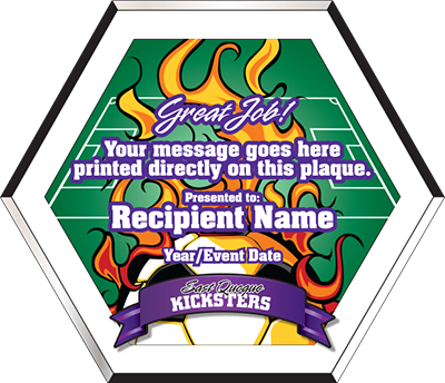 Full Color Hexagon Soccer Plaques