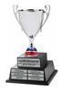 Silver Metal Perpetual Trophy Cup on Twin Tier Solid Wood Base 22