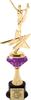 Cheer Rising Star Diamond Riser Trophy [TRDDRSS-11-CH]