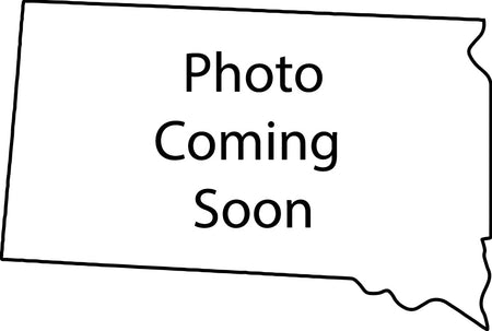 South Dakota Paperweight Acrylic Award - 5.2 x 3.5 inch [ASTT-SD-Q]