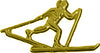 Cross Country Skiing Chenille Pin [PCH-24]
