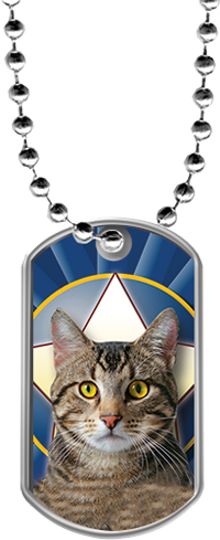 Cats Dog Tags [DTLAM2-CAT]