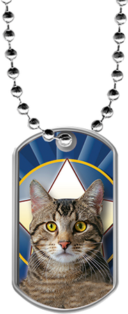 Cats Dog Tags [DTLAM2-CAT]