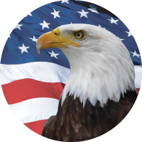 Eagle Insert [TD-2115]