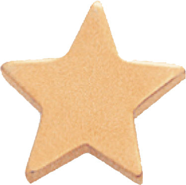 Gold Flat Star Pin [PCM-STR-390]