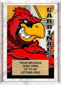 Full Color Plaques [PFCSTK5-MSCT]