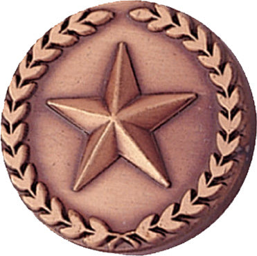 Bronze Wreath Framed Star Pin [PCM-STR-476B]