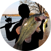 Fishing- Bass Fishing Insert [TD-2610]